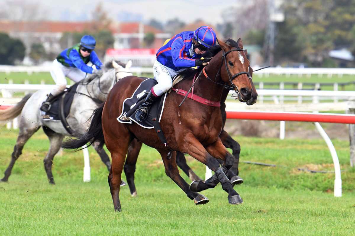 English Gambler back to winning form