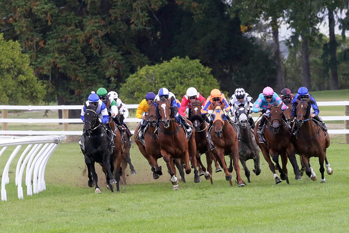 NZTR announcement planned on 15 June