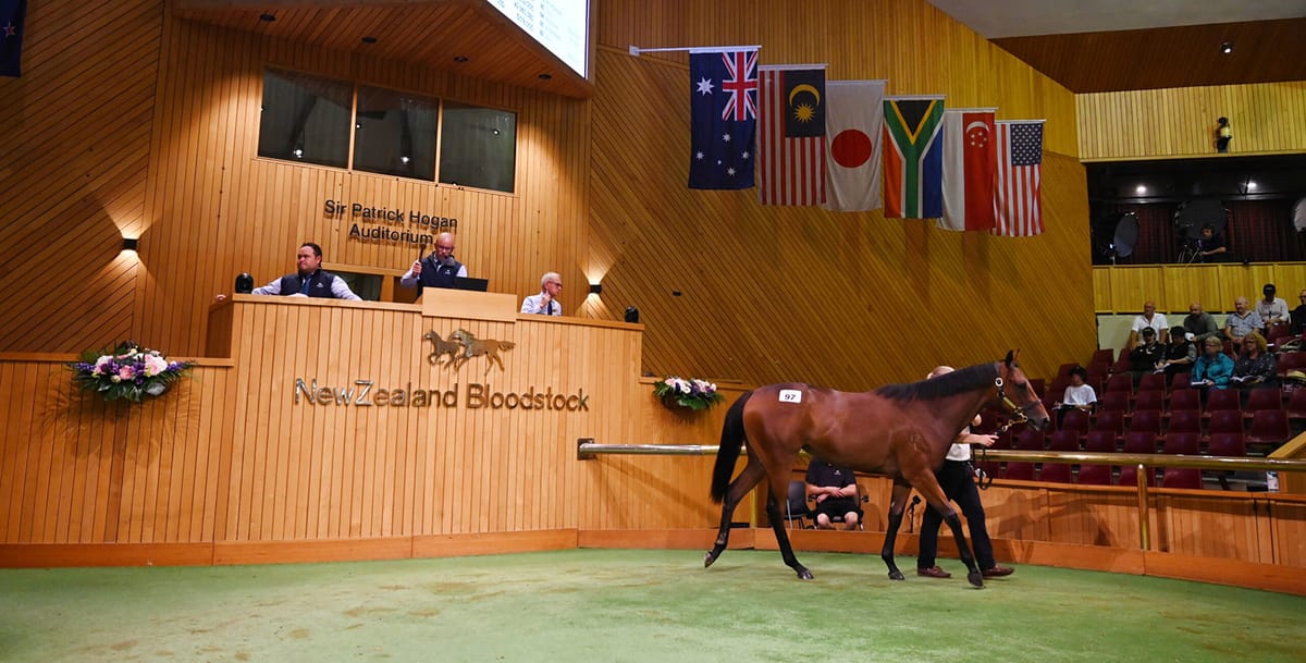 Entries Open for Karaka 2024