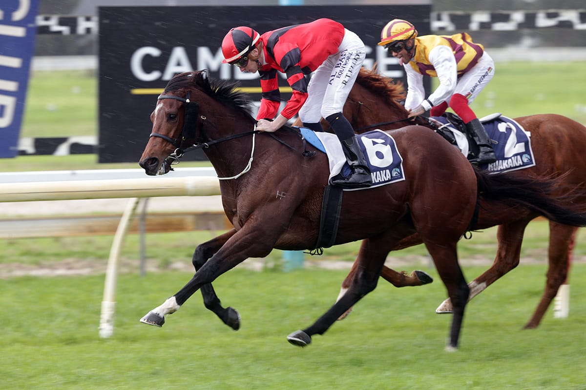 Cole targeting Ruakaka series