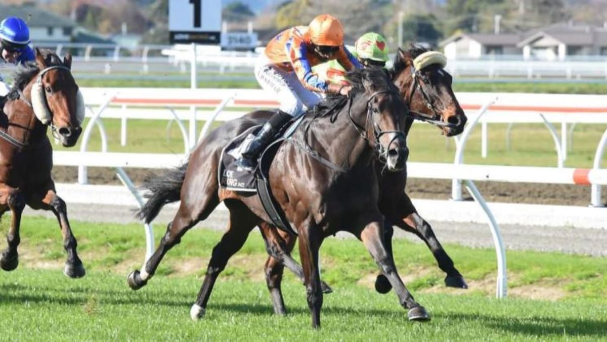 Stakes aim for Te Akau mare