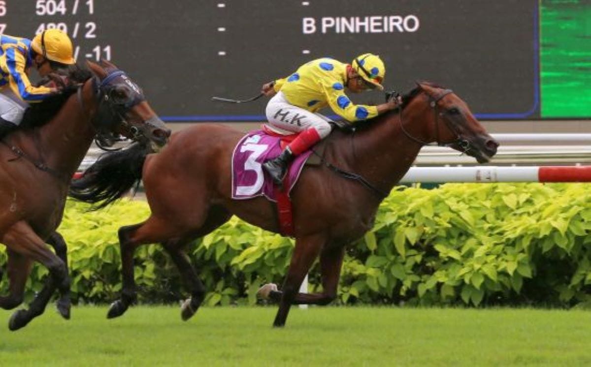 Malek back to his best in Kranji Sprint