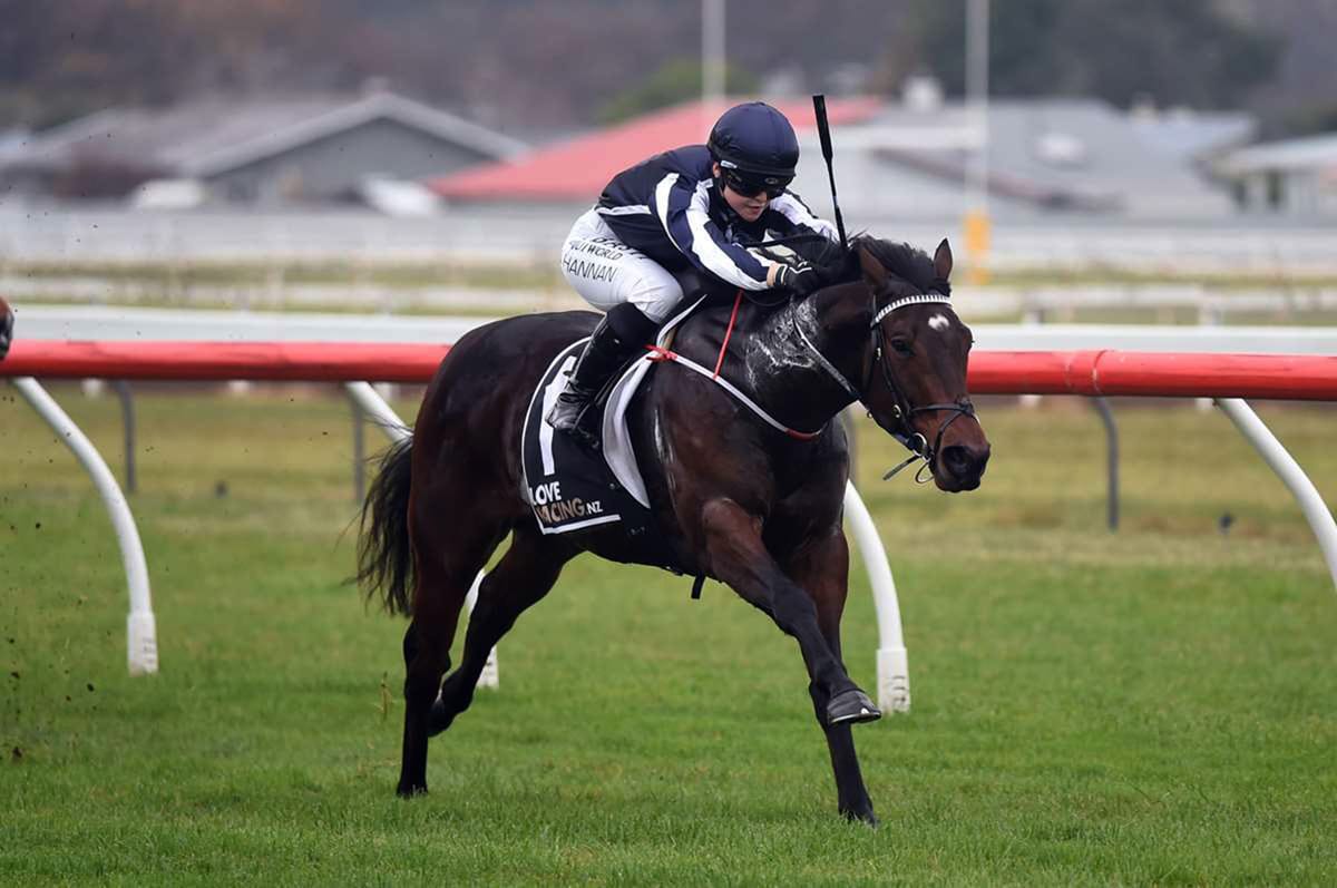 Another winner for U S Navy Flag