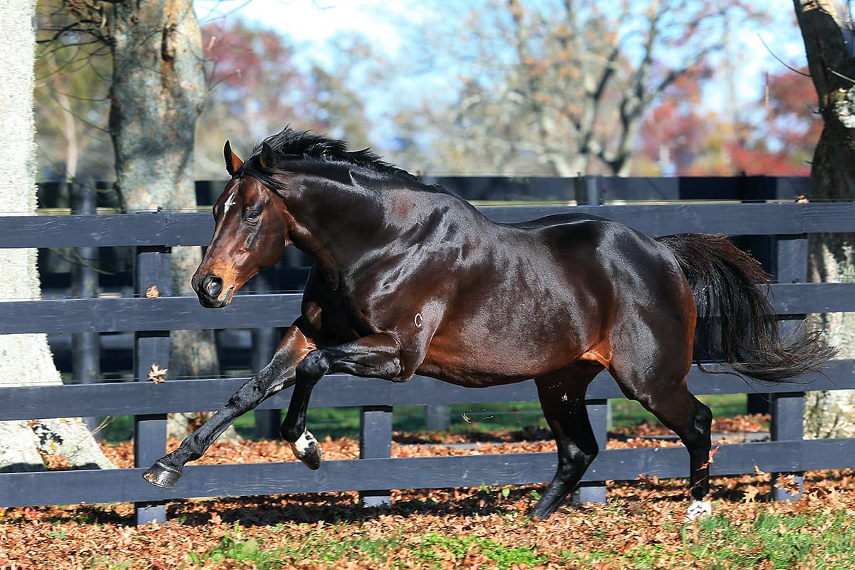 Niagara back in the Bay