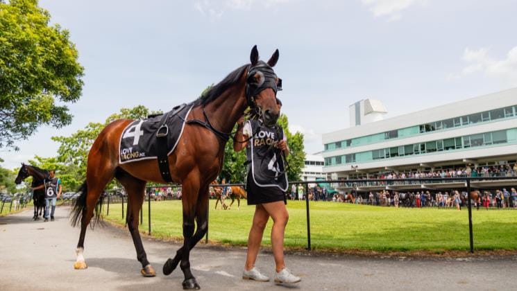 NZTR announces $20.3 million stakes increase