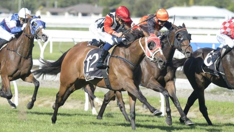 Somervell hoping for dream result