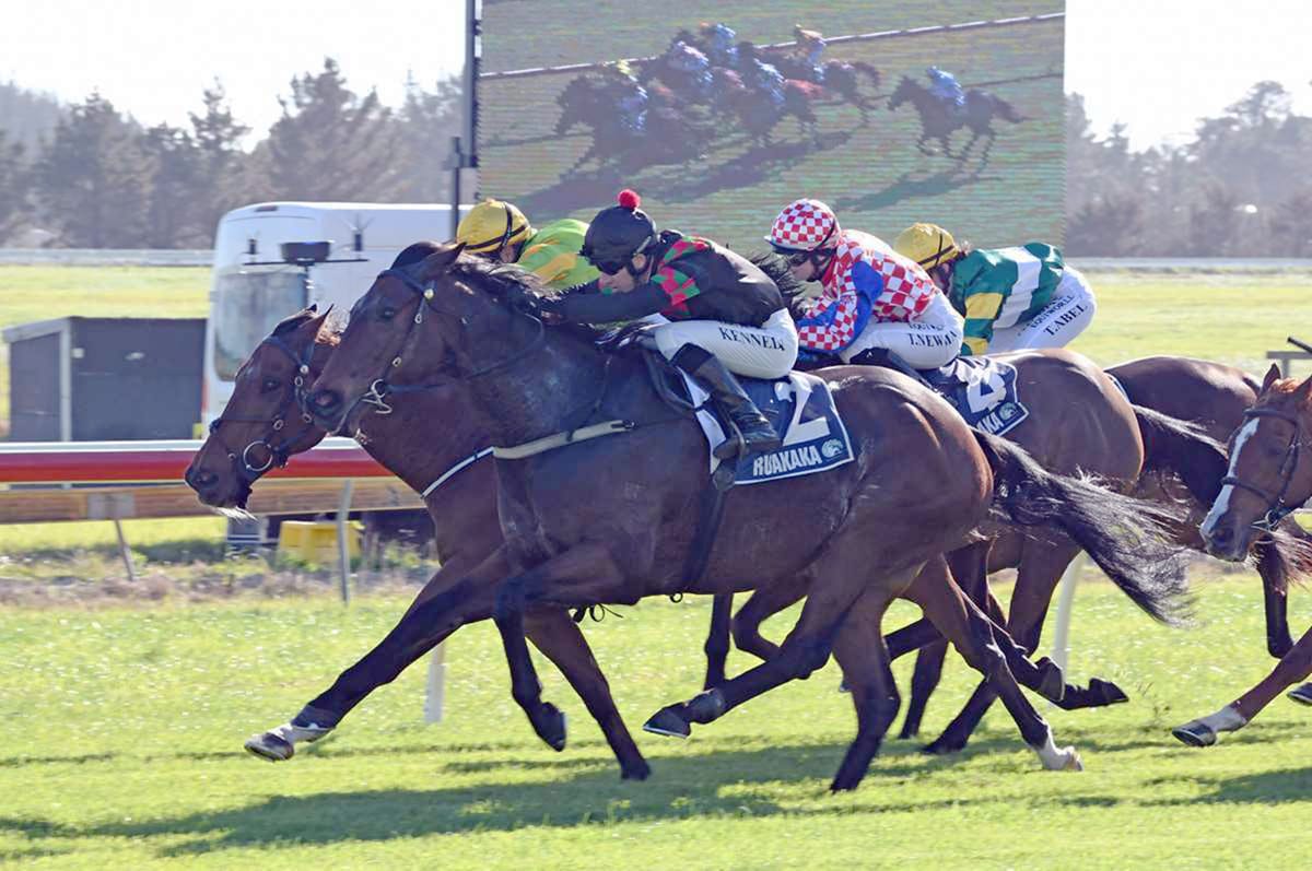 Paisley Park makes northern raid worthwhile