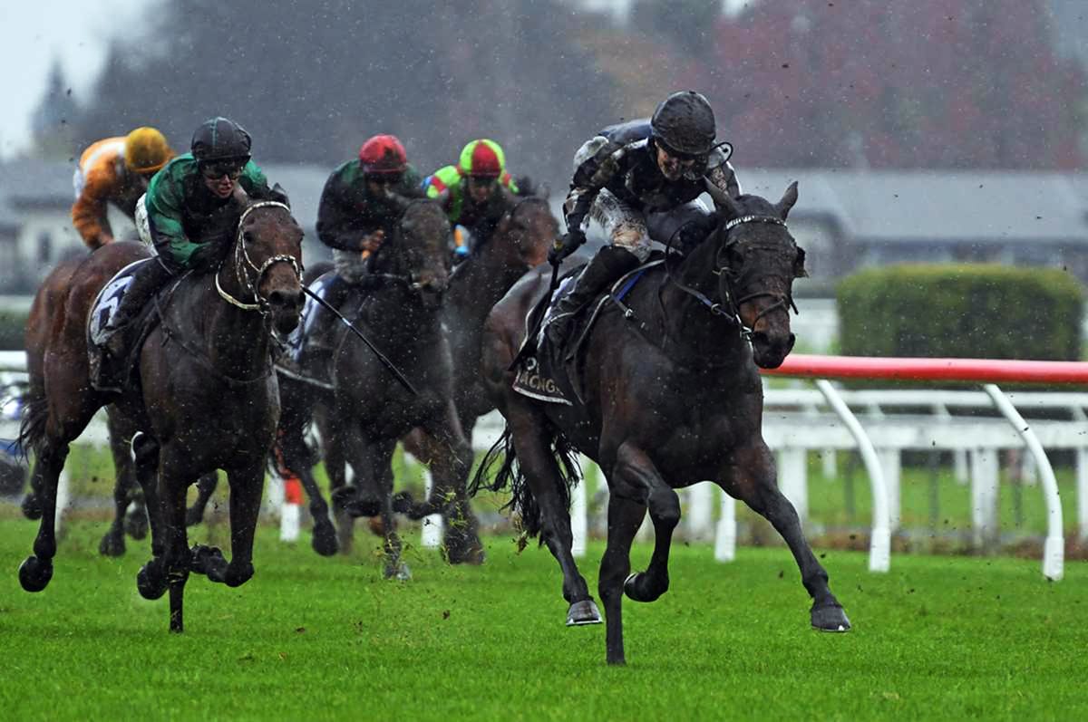 Poser continues winning run