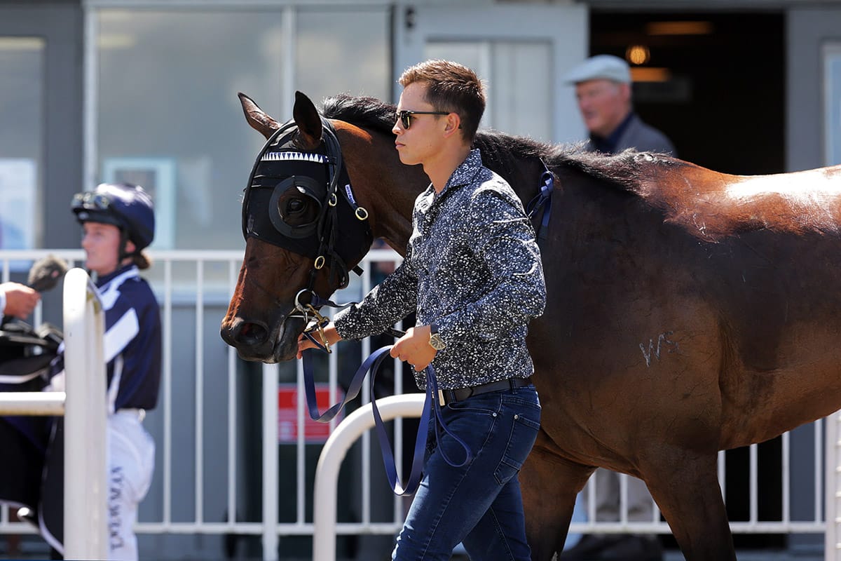 Stokes set to debut on Thursday