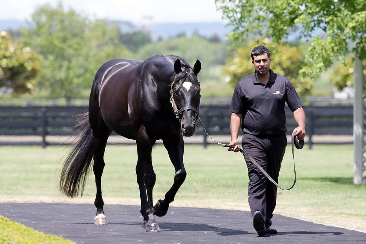 Redwood continues his run of success