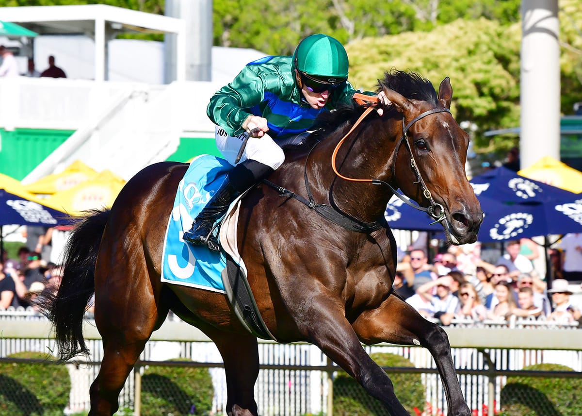 Kiwis a threat to Baker’s Renaissance