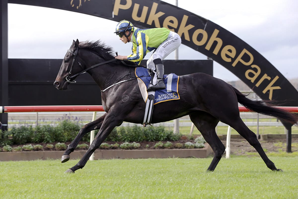 Stakes winner heading to Sydney