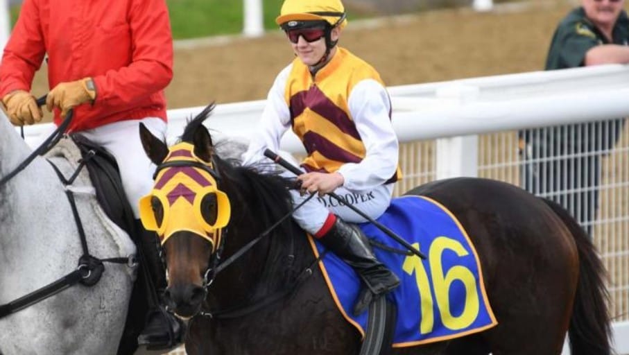 Cooper happy to call New Zealand home