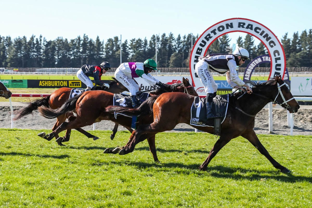 Sea Shepherd edging closer to Winter Cup target