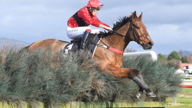 Shackeltons Edge resumes with a win