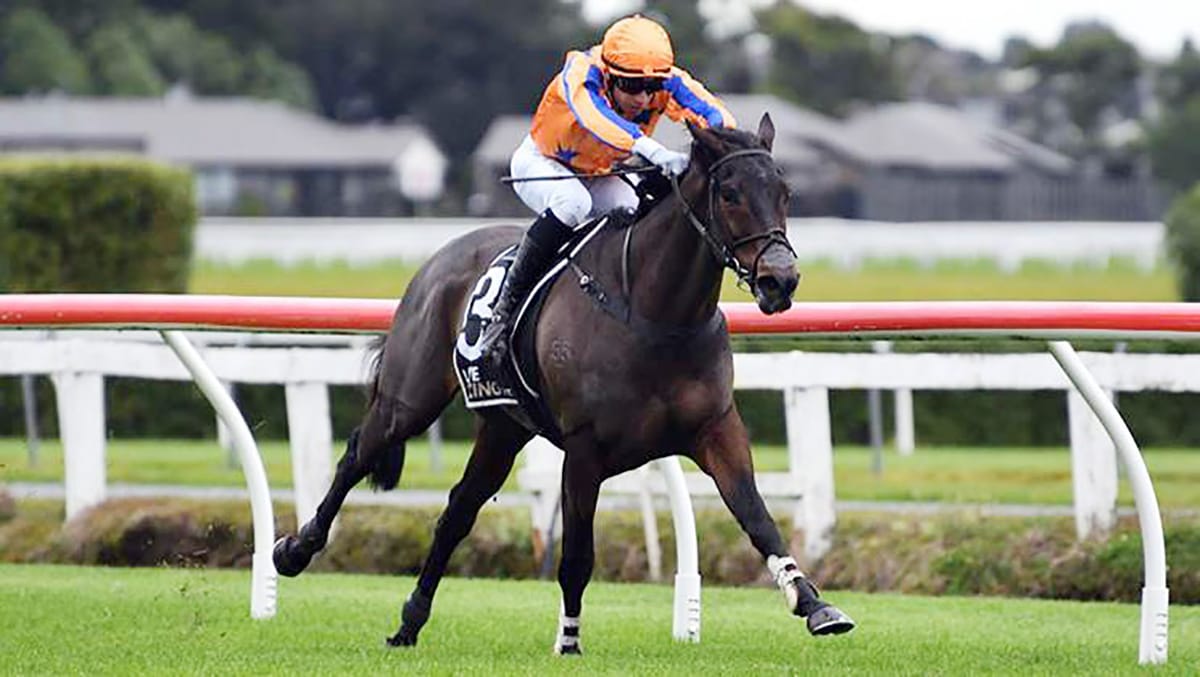 Te Akau looking to add jump race feature to season haul