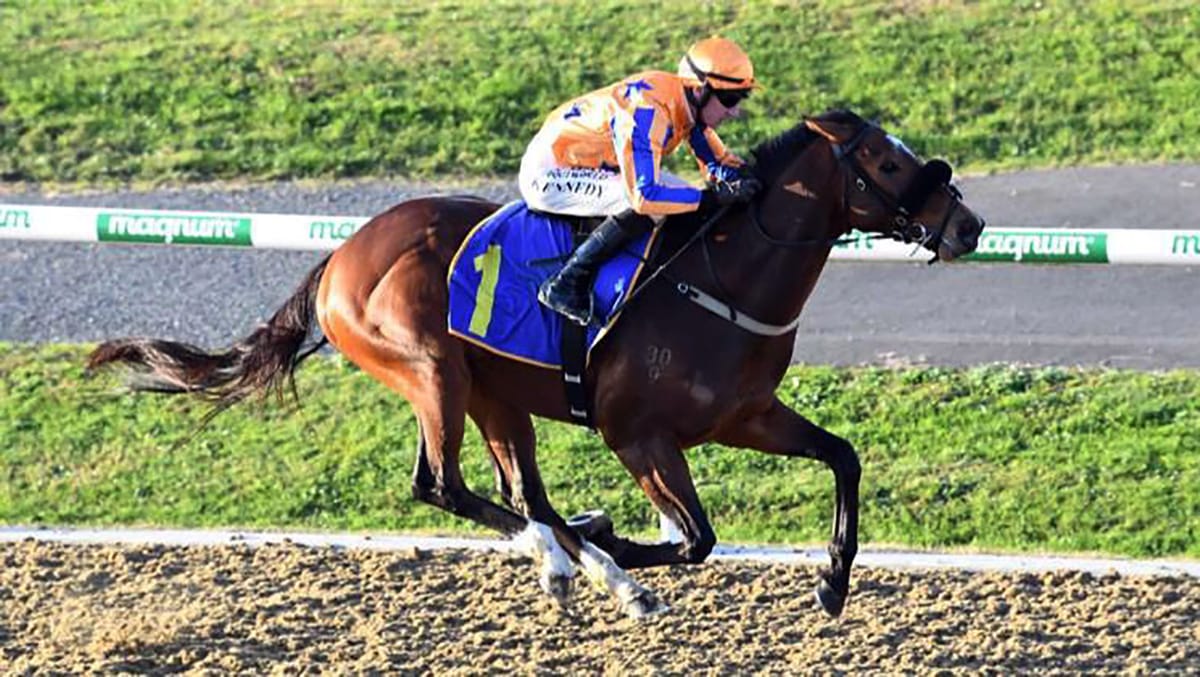 Treaty of Paris scores maiden win