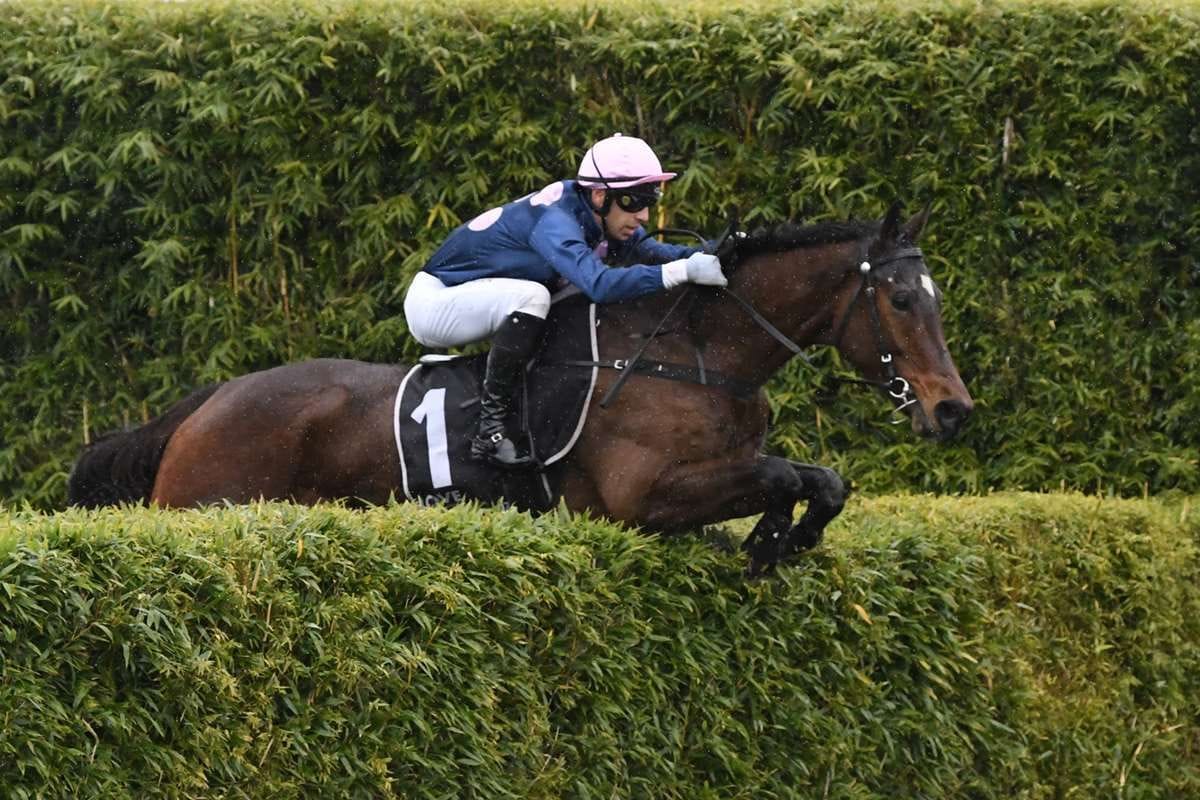 Thurlow excited for Whiskey Tango