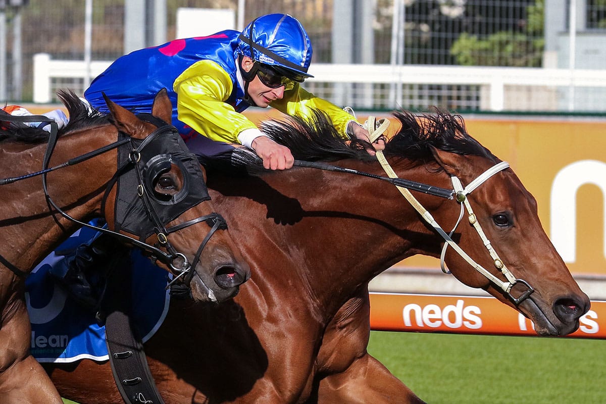 Wild Imagination all the way at Caulfield