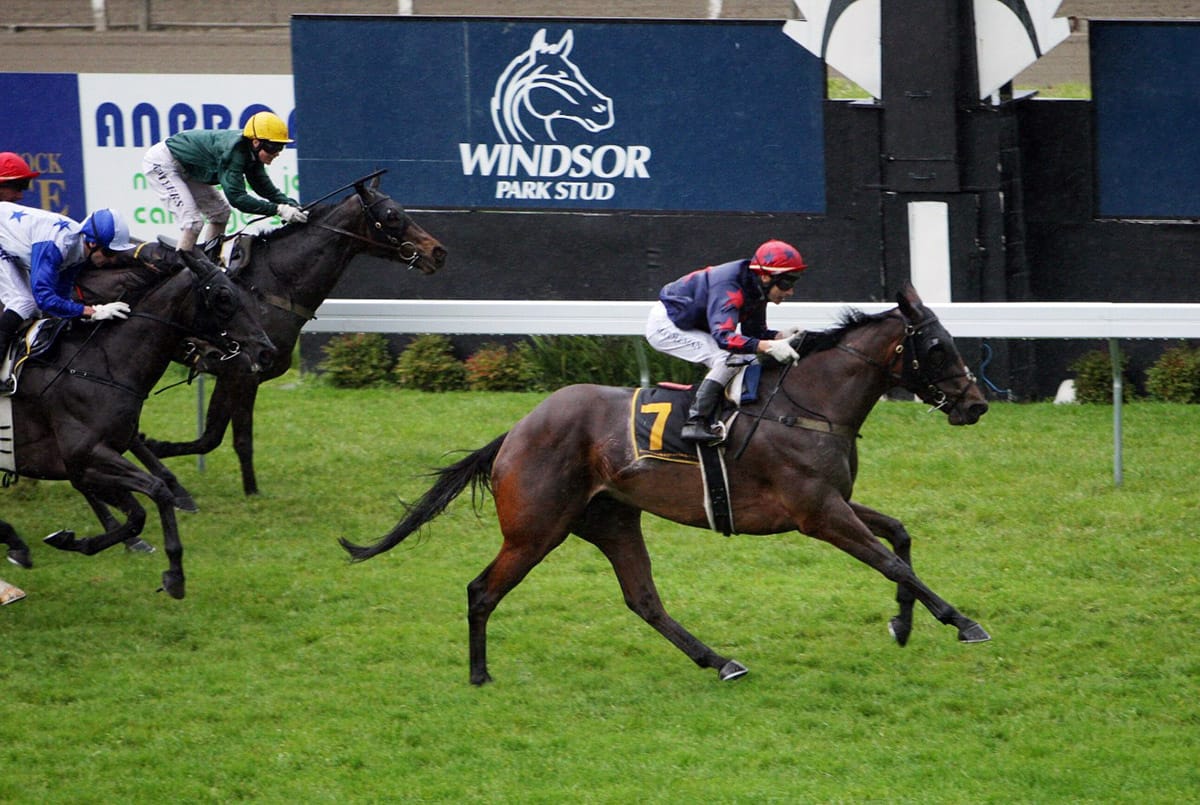 Stakes Performers and Stallion Representation Headline Broodmare Session