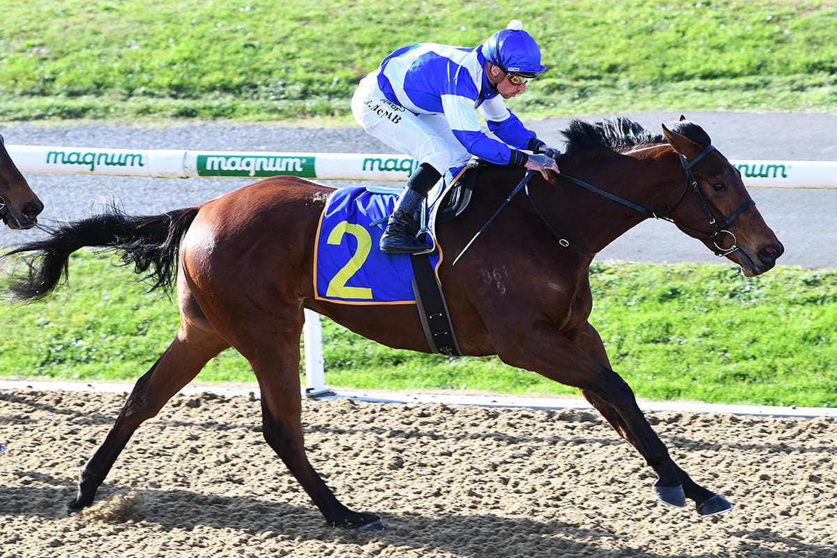 100 percent strike rate for local trainers