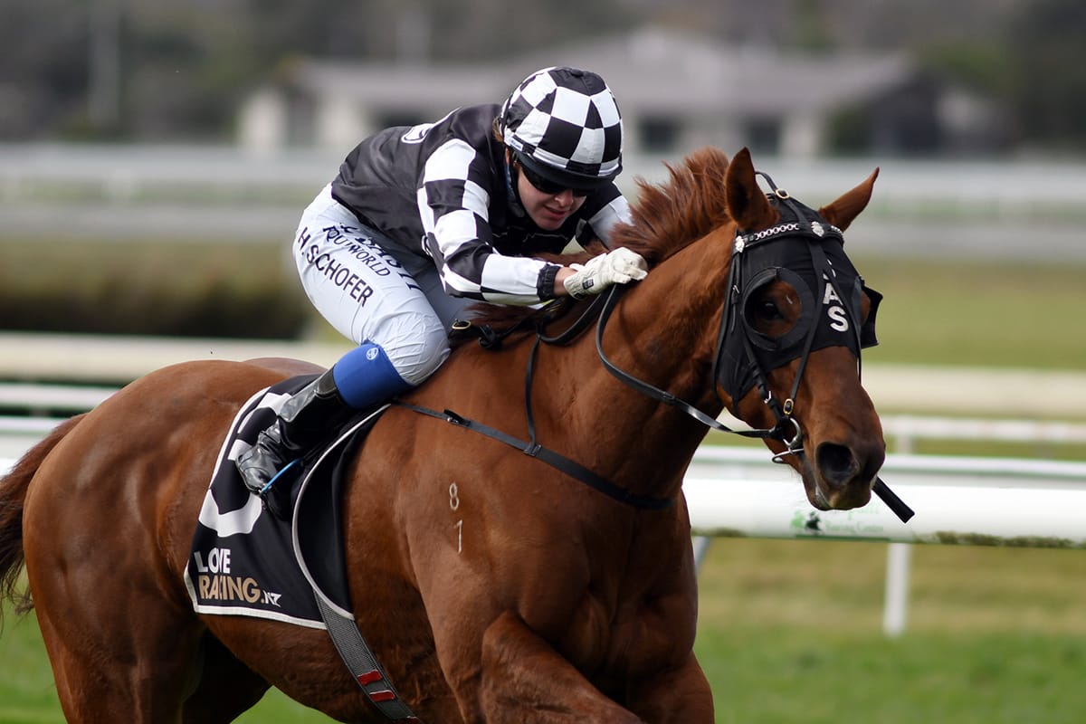 Sharrock duo set for Te Rapa