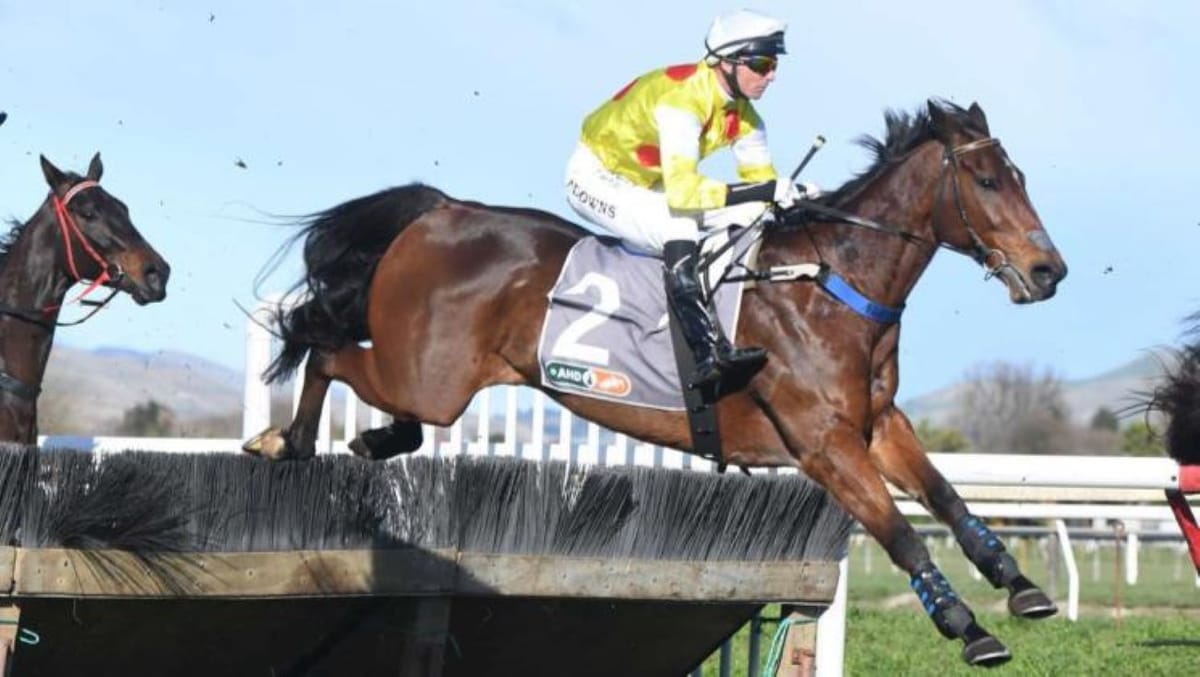 Jockey change no problem for Bumpkin