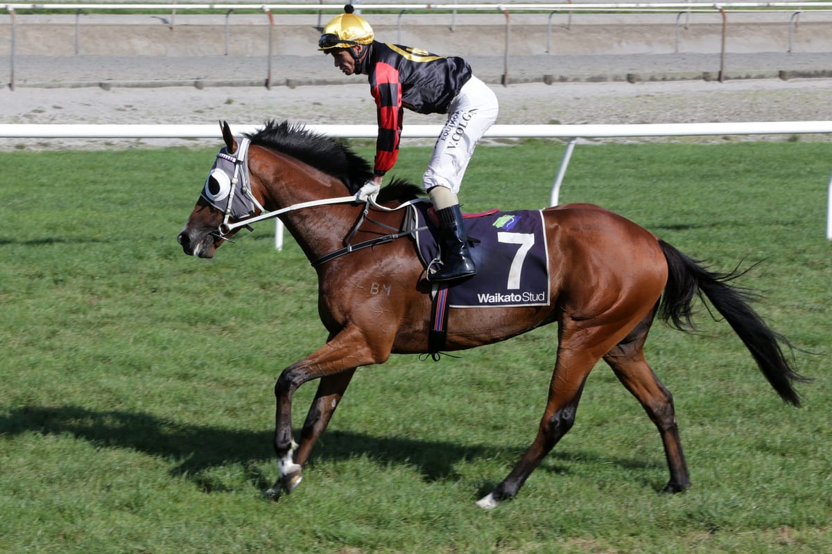 Kiwi import excites Price