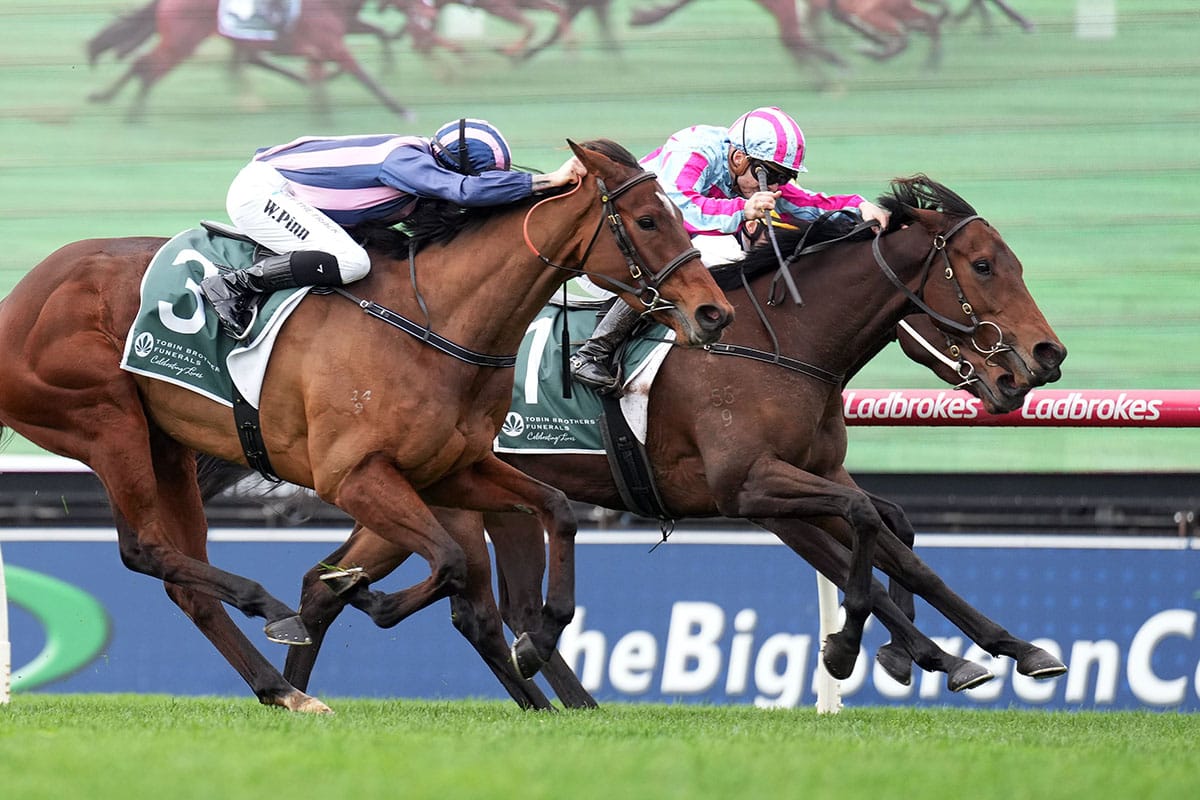 Former Kiwis score at Sandown