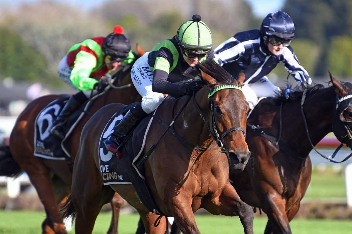 Enchanted Elle claims Te Rapa feature