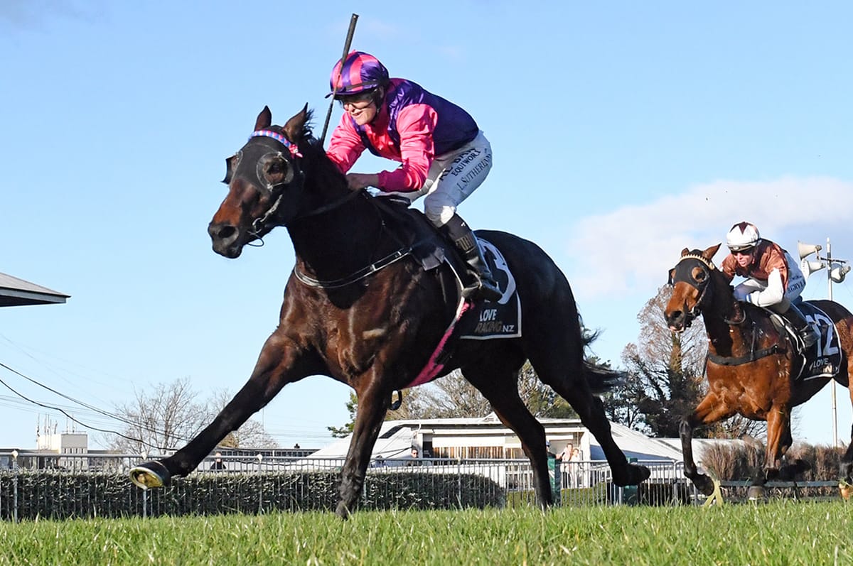 Bambry biding time with Flower of Wanaka