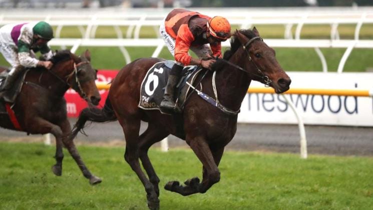 Taramea Lad looking to shore up Winter Cup start