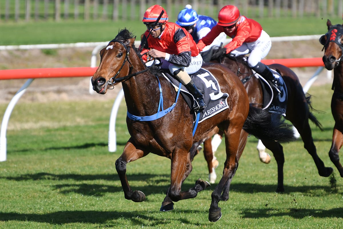Lovearoadie maiden victory impressive