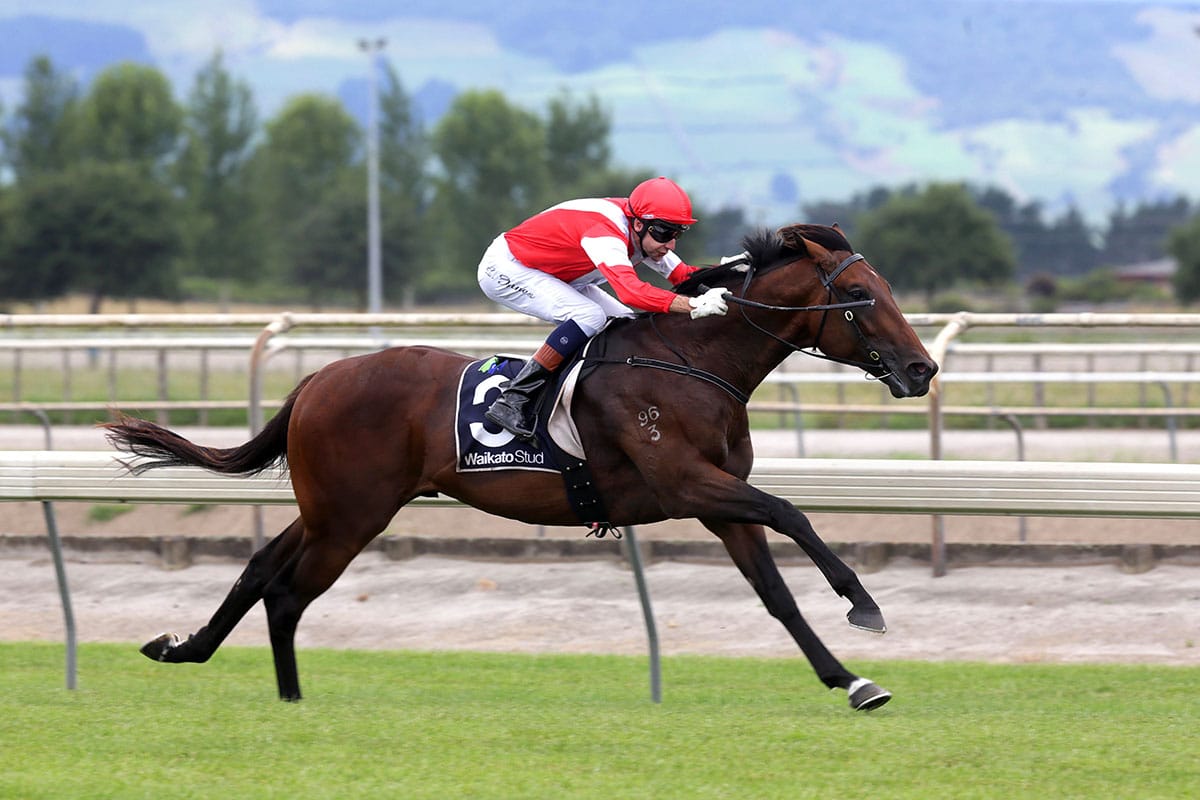 First winner for Mongolian Falcon
