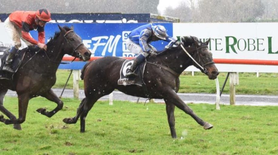 Hoffman team thrive at Wingatui 