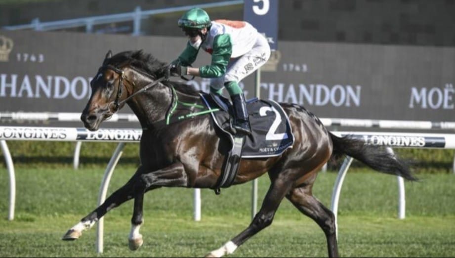 Profondo a popular choice