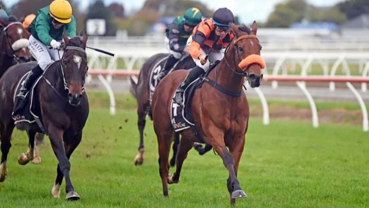 Bergerson pair on trial