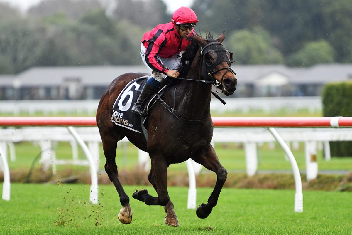 In form Seajetz looking for Interprovincial success