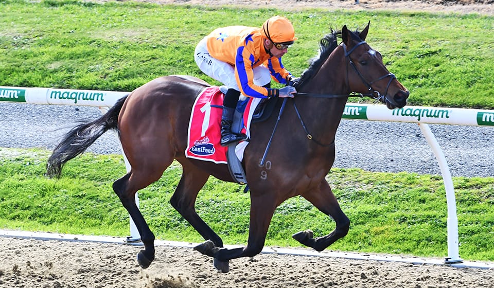 Stonybreck dominant at Cambridge