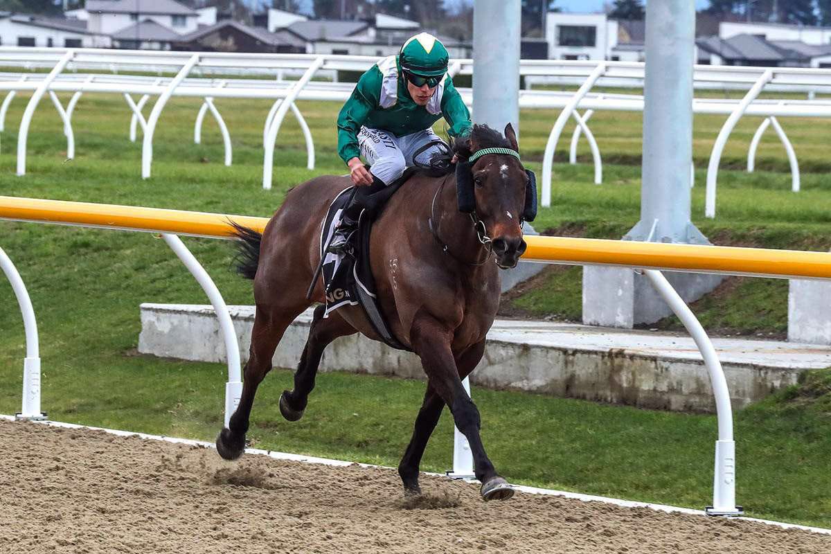 Persistence key to polytrack runner