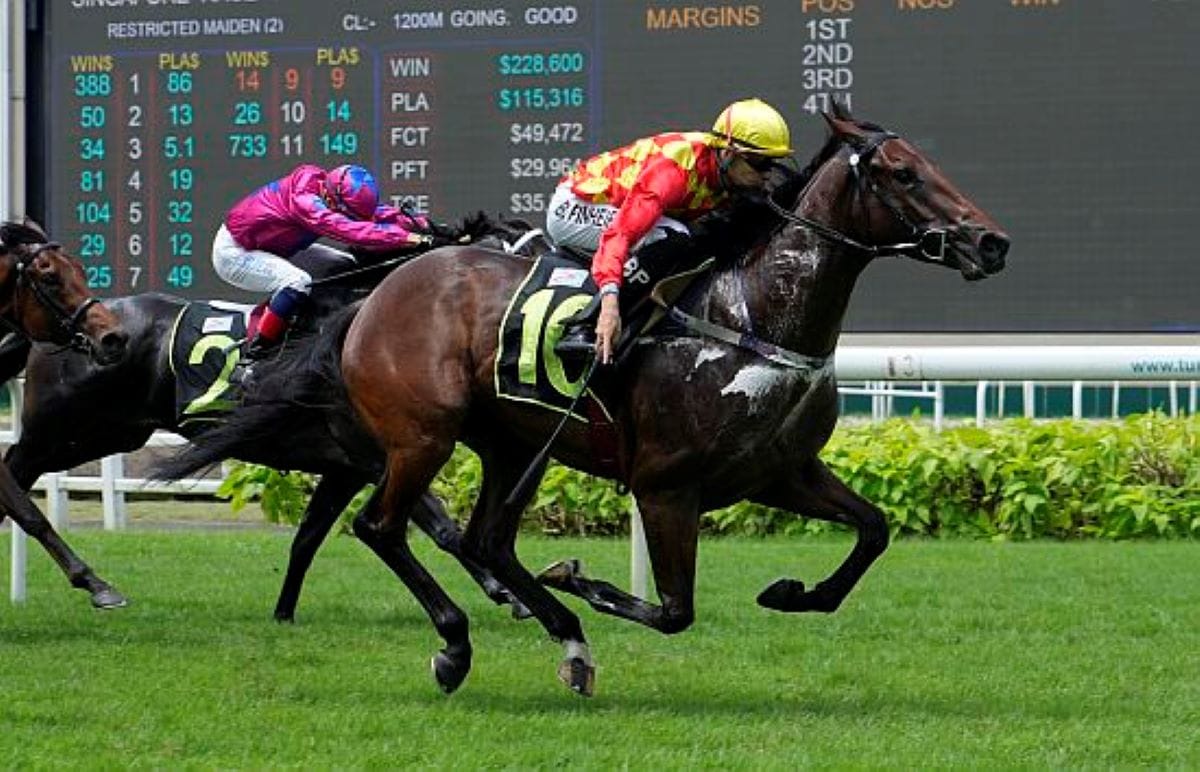 Kiwi 2yo strikes at Kranji