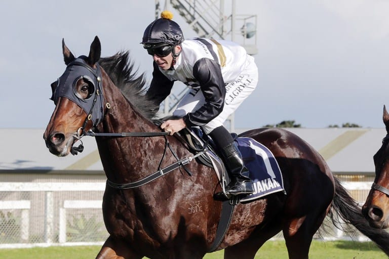 Busy weekend ahead for Forsman stable