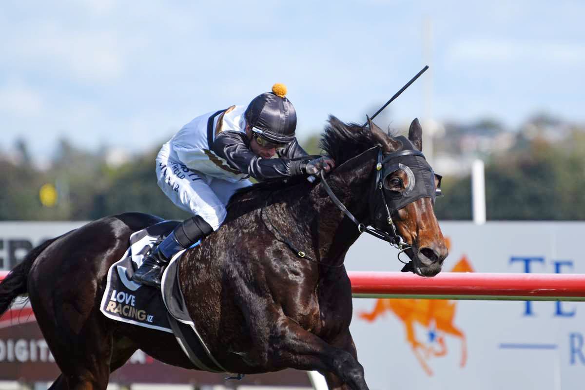 Turn The Ace back to his best on favourite track