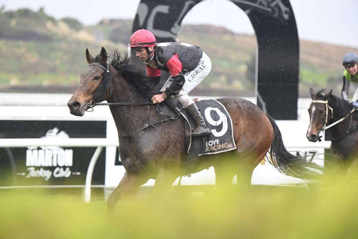 Patterson shines at Awapuni