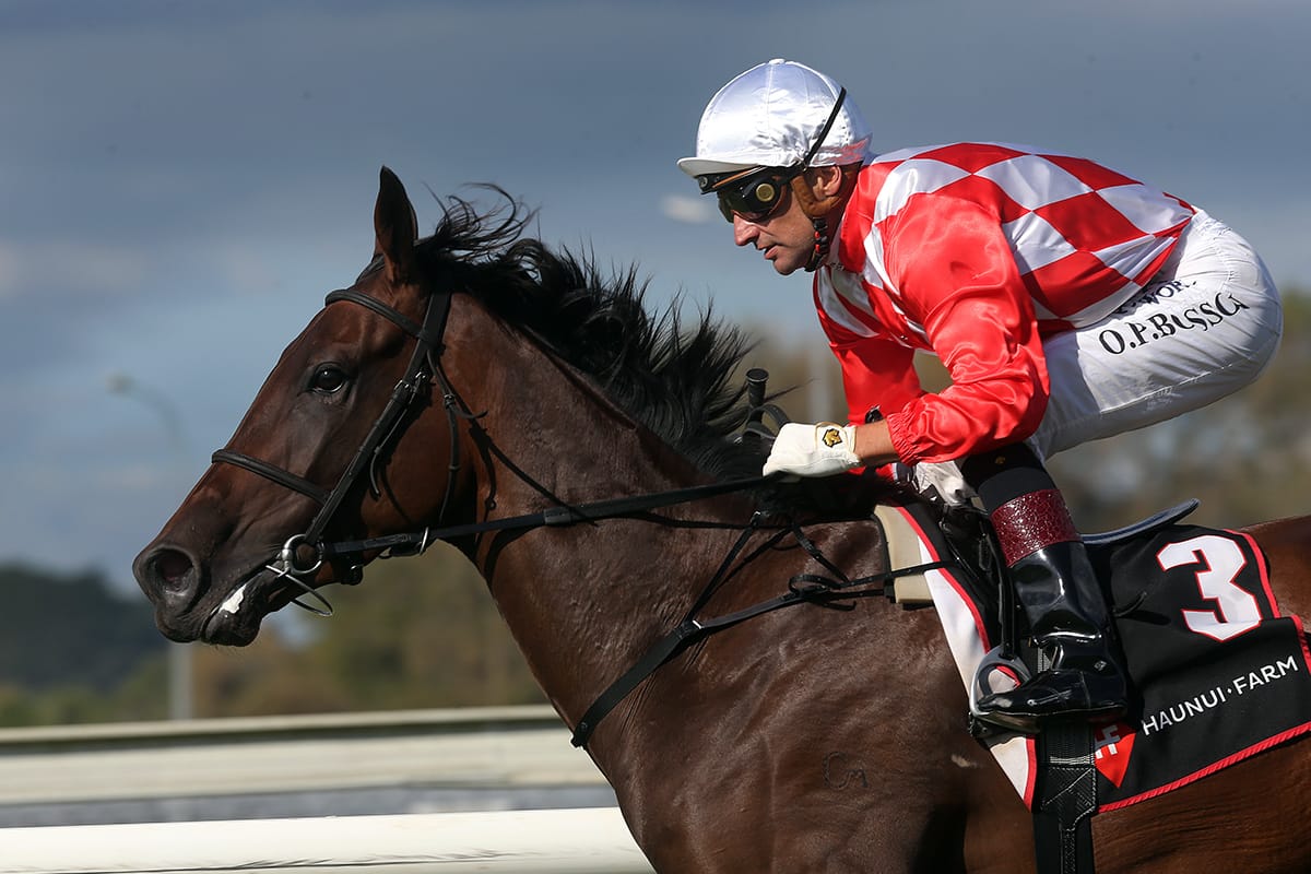 Kingsclere chasing winter feature