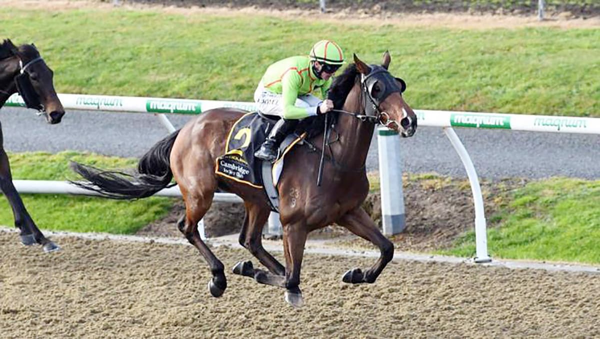 Brontes Gold continues winning ways