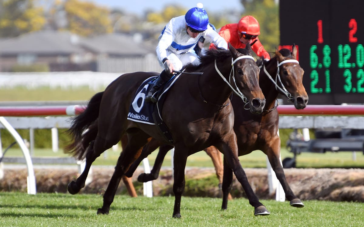 Marsh duo shine at Te Rapa