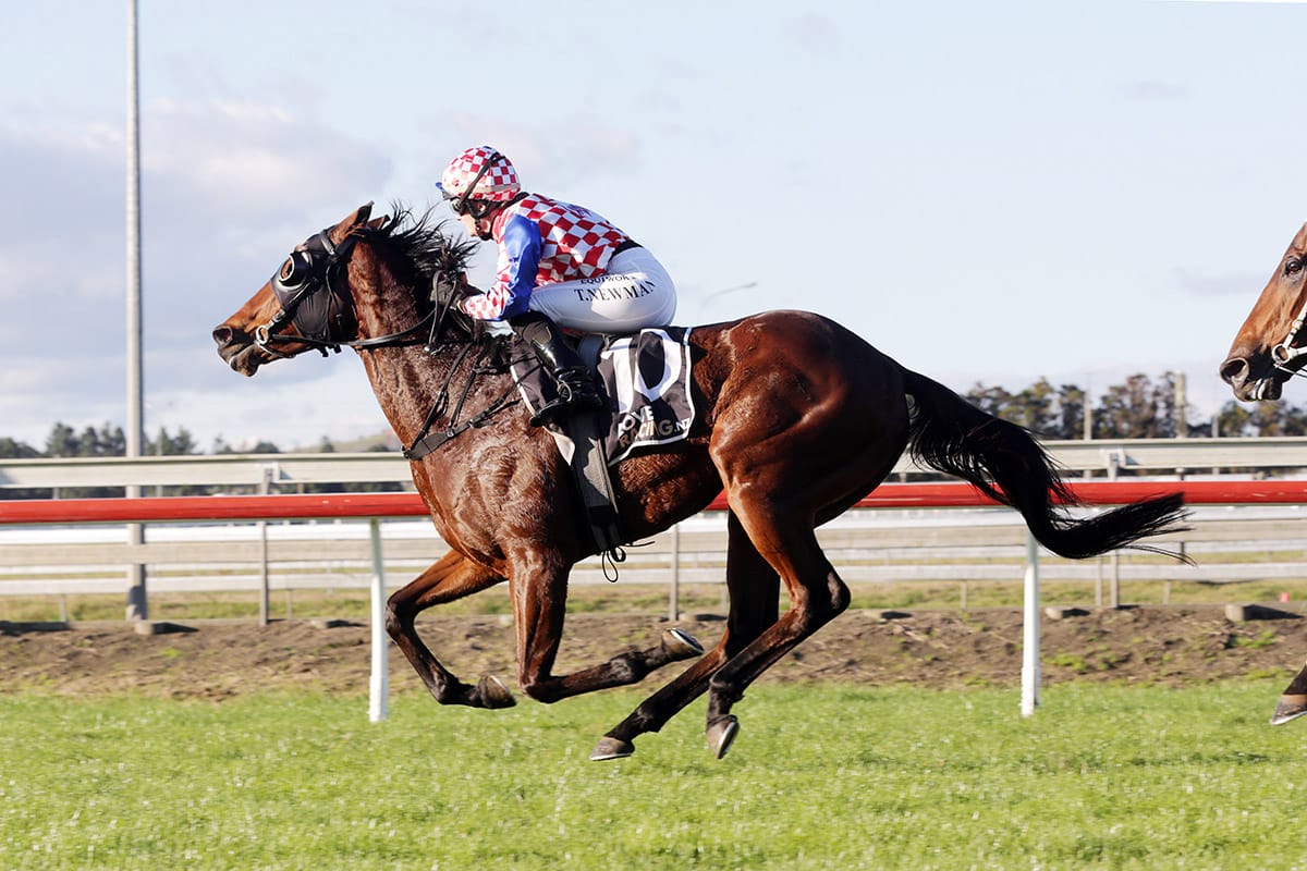 Gibbs hoping for hometrack feature success