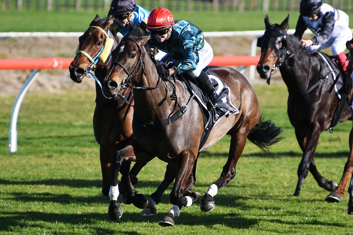 Cork pleases with hit and run mission