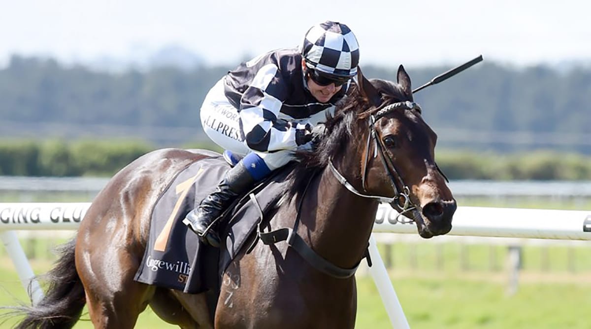 Darci La Bella looking so surpass big brother